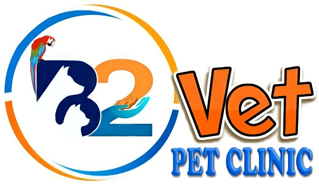 B2Vet_Logo